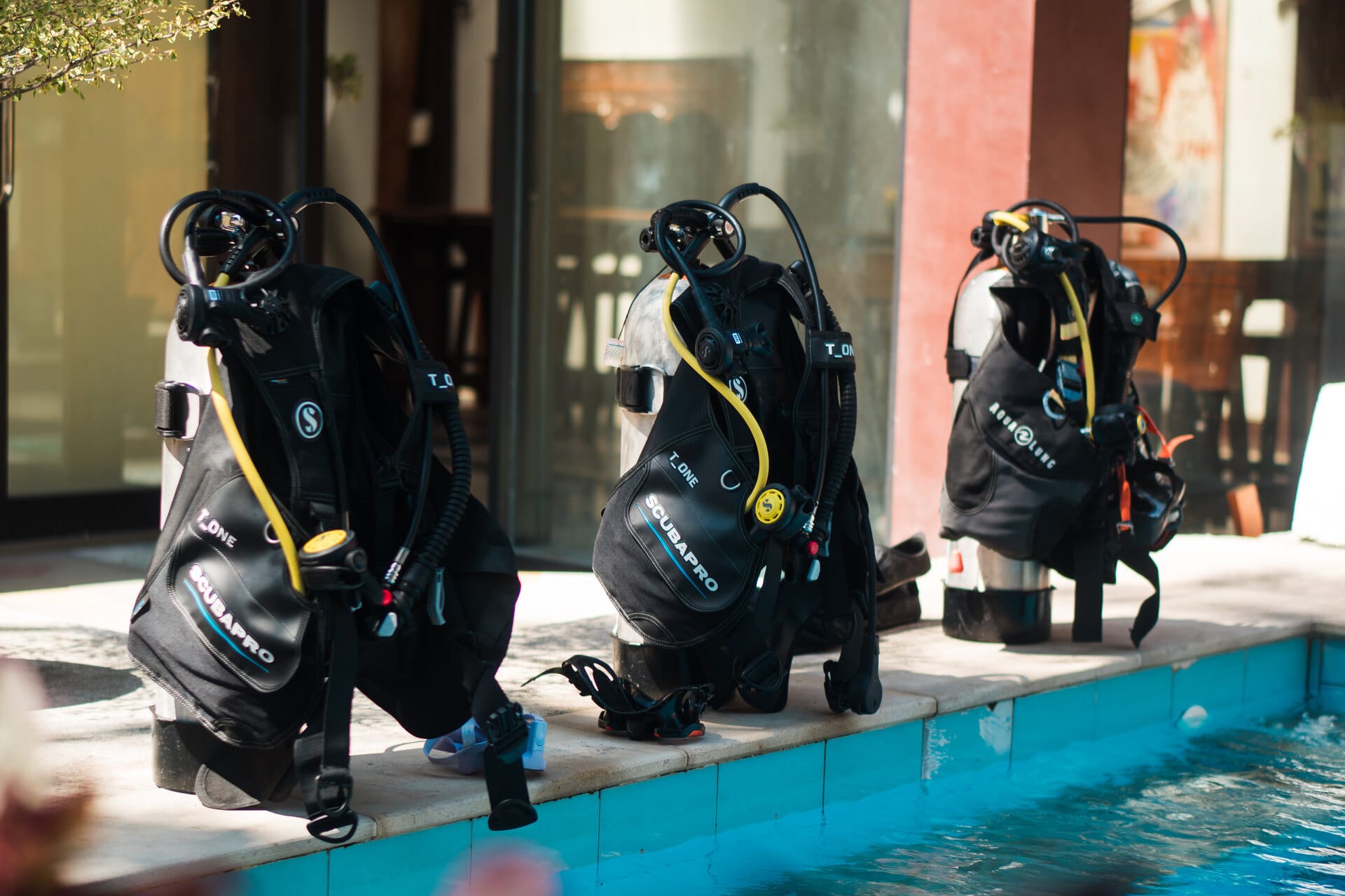 Dive professional checking equipment before a dive