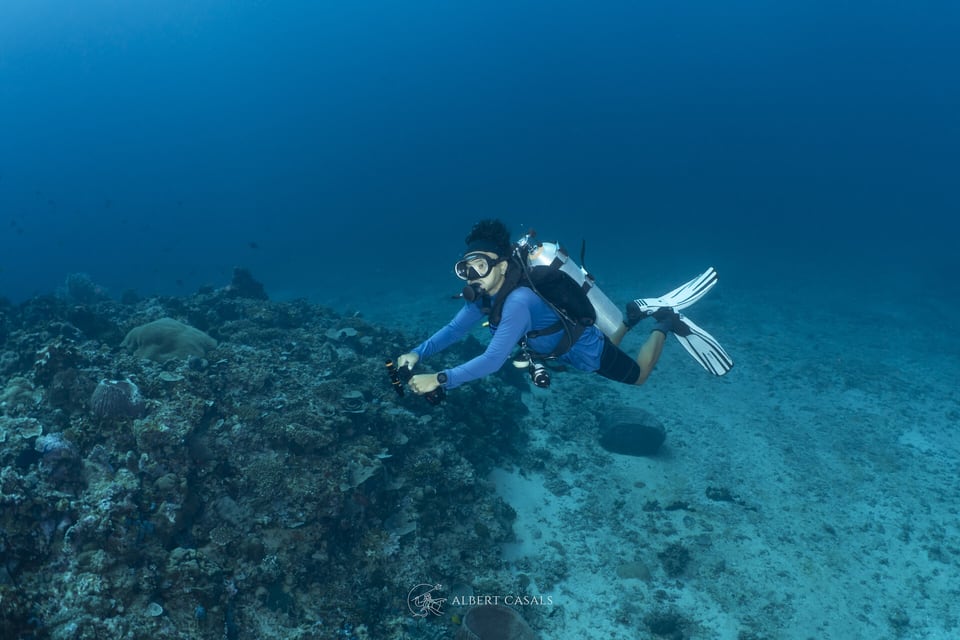Diver drifting over a blue reef in the Gili Islands