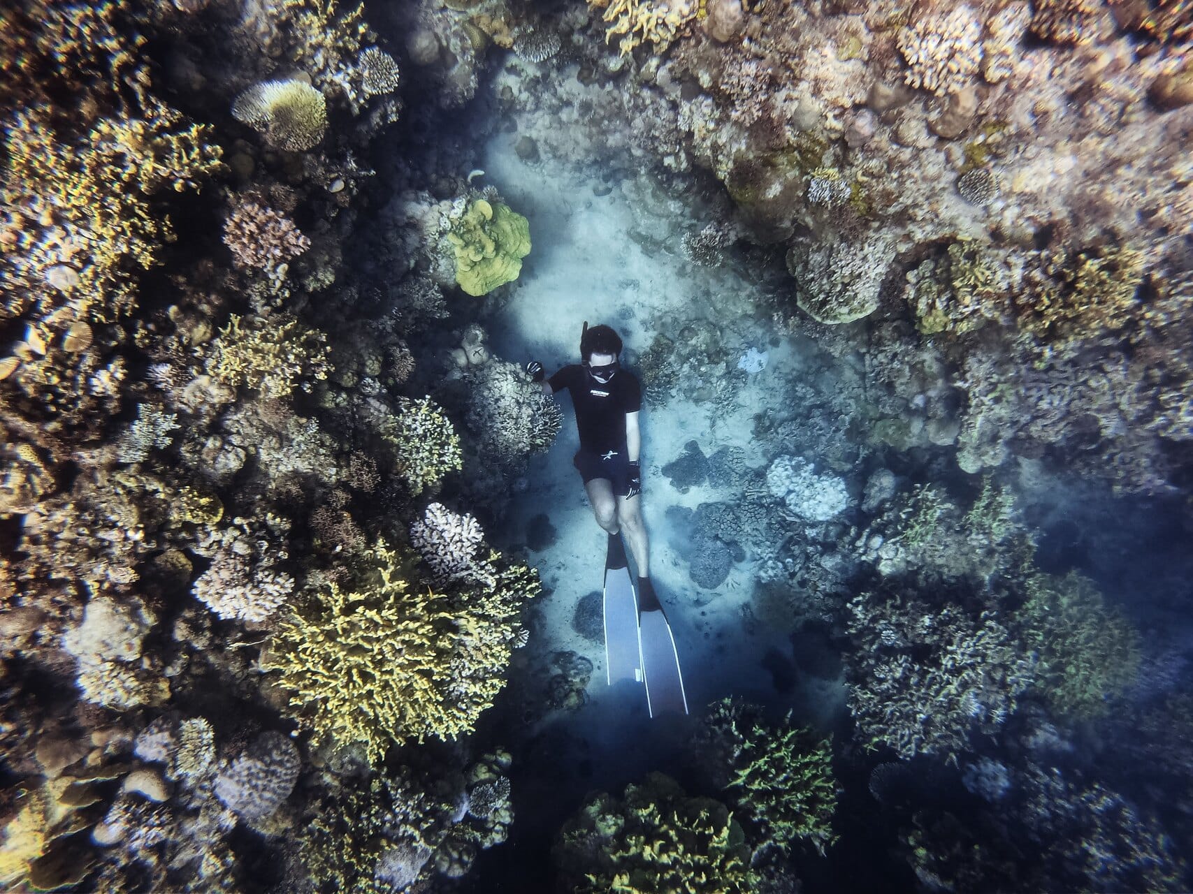 A freediver descending over a coral canyon seen from above