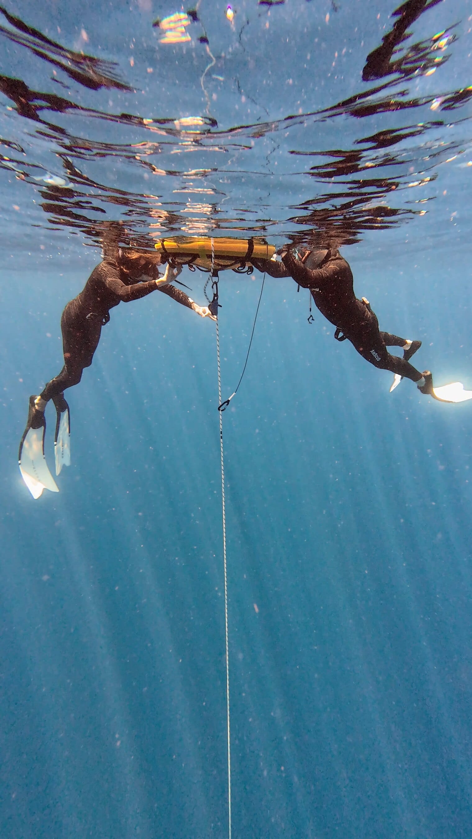Two freedivers practising a rescue at the buoy line